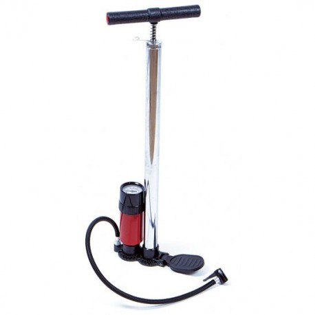 Pompe verticale avec manometre